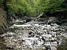 11riverhike.jpg