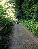 unused_road.jpg
