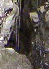 NE Carroll copyright 2004