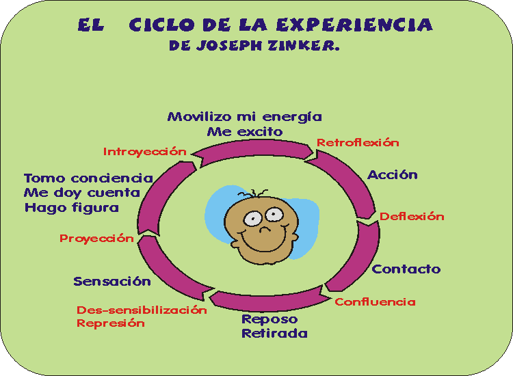 El proceso homeost�tico de Autorregulaci�n Organ�smica. El Ciclo de la Energ�a.