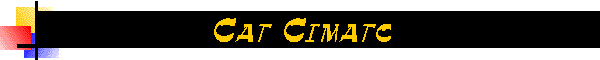 Cat Cimato