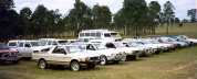 Taromeo gathering