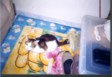 Larger photo.