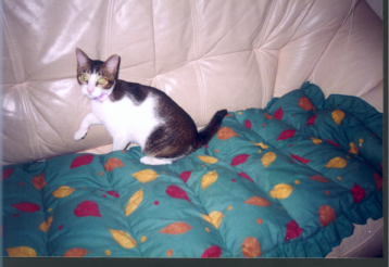 Larger photo.