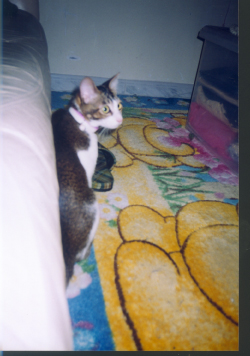 Larger photo.