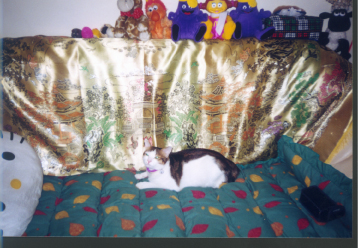 Larger photo.