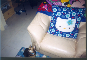 Larger photo.
