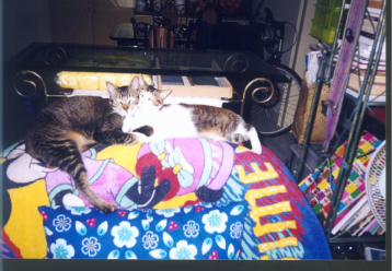 Larger photo.