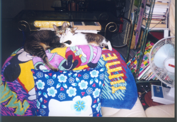 Larger photo.