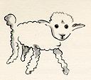 sickly sheep
