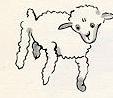 old sheep