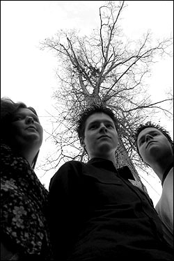 The Soil Bleeds Black geocities ws