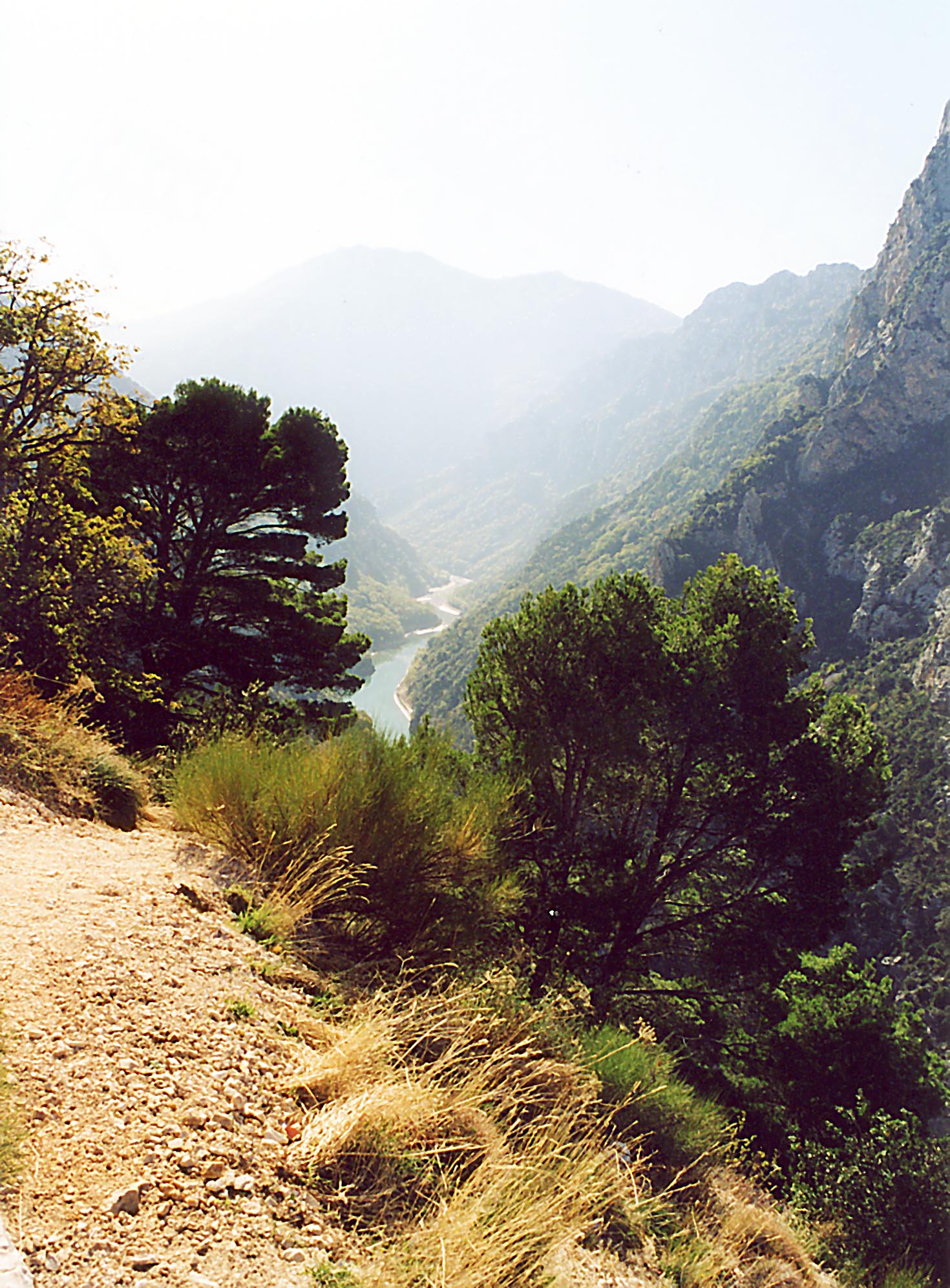 Verdon