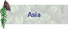 Asia