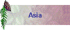 Asia