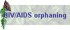 HIV/AIDS orphaning