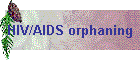 HIV/AIDS orphaning