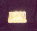 goldbag.jpg (6828 bytes)