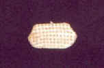goldflowersbag.jpg (4782 bytes)