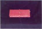 orangebag.jpg (36694 bytes)
