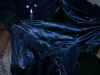 TrashedJacket.JPG (39073 bytes)