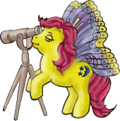 Starry Wings
