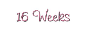 16 Weeks