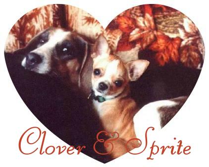 Clover & Sprite - My Babies - come see Me and My Pups Here