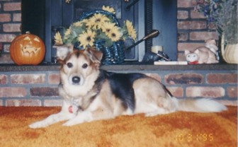 Click to Larger Picture - Jessica at Halloween 1995