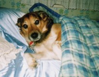 Click to View Larger Picture - Jessica in Karen's Bed 1990