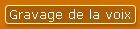 Gravage de la voix