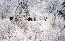 Lean-to et refuge l'Alpage