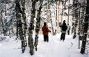 Sentier Bergerie