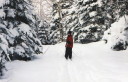 Sentier Catherine
