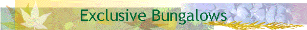Exclusive Bungalows