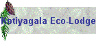 Kotiyagala Eco-Lodge