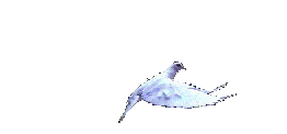 dove.gif (19150 bytes)