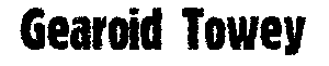 www.gearoidtowey.com