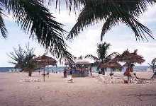 beachbar