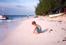 davebeach