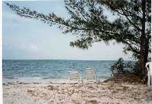 beachchairs