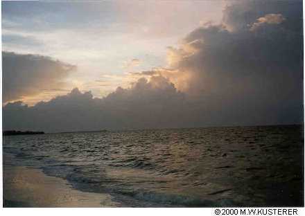 sunrise