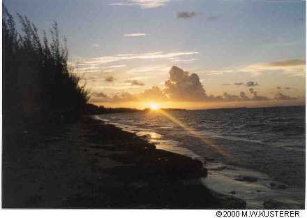 sunrise
