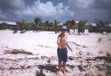 dbeachweed