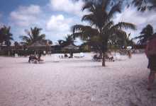 beachfuzzy