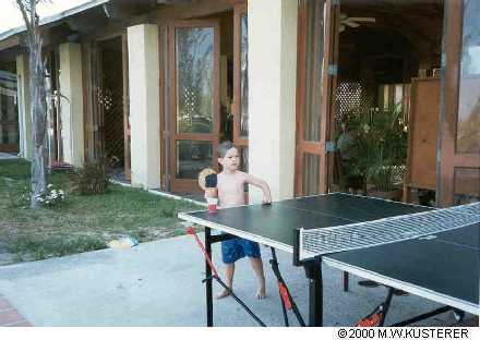 dpingpong