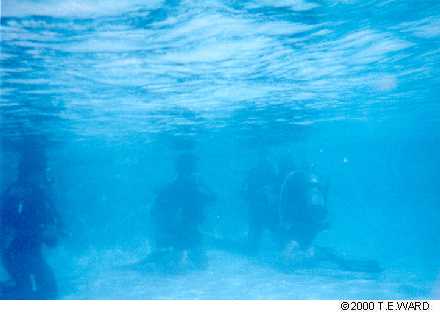 underwaterscuba