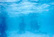 underwaterscuba