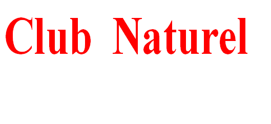 wp4563328b.png
