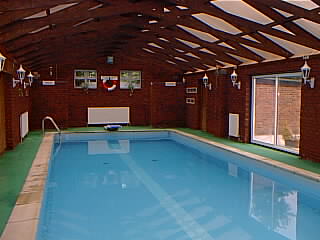 wp55db960a.jpg
